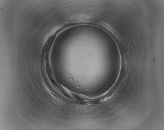 X0000068810677200605051146