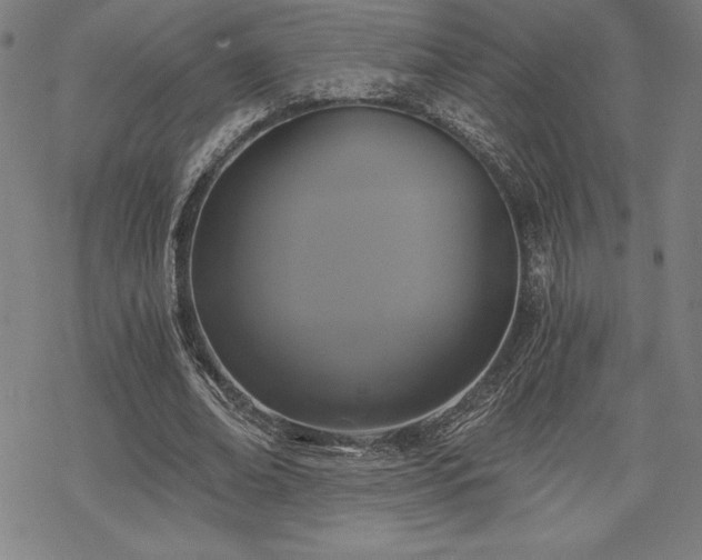 X0000068810678200605051146