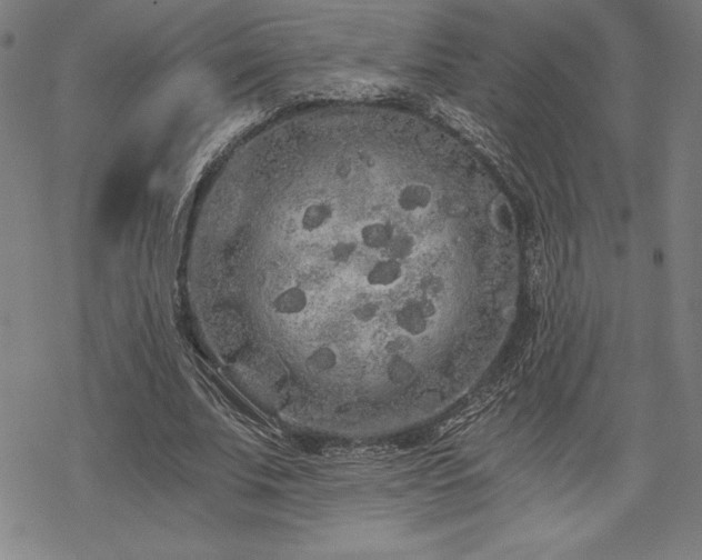 X0000068810679200605051146