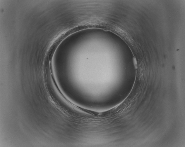 X0000068810680200605051145