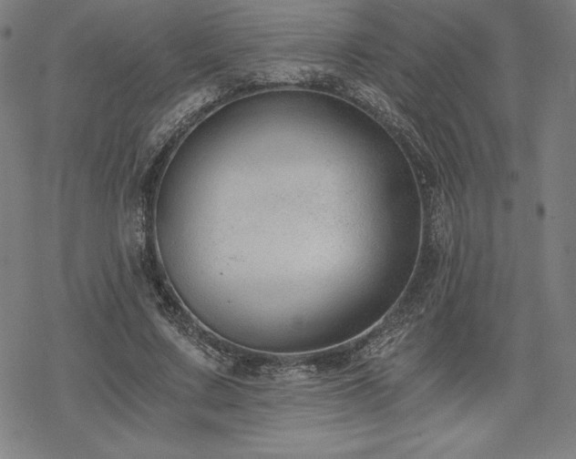 X0000068810683200605051145