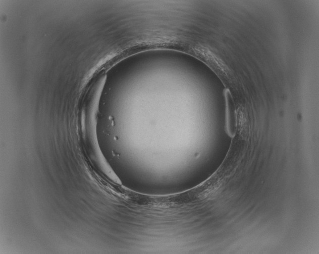 X0000068810684200605051145