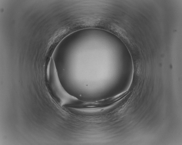 X0000068810685200605051145