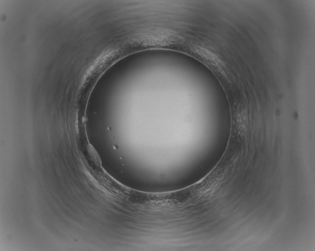 X0000068810686200605051145