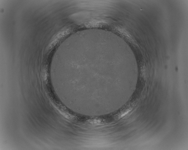 X0000068810687200605051145