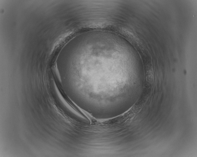 X0000068810688200605051145