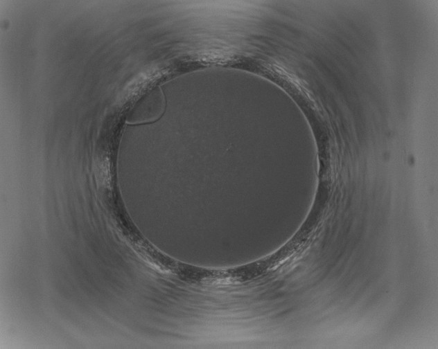 X0000068810689200605051145