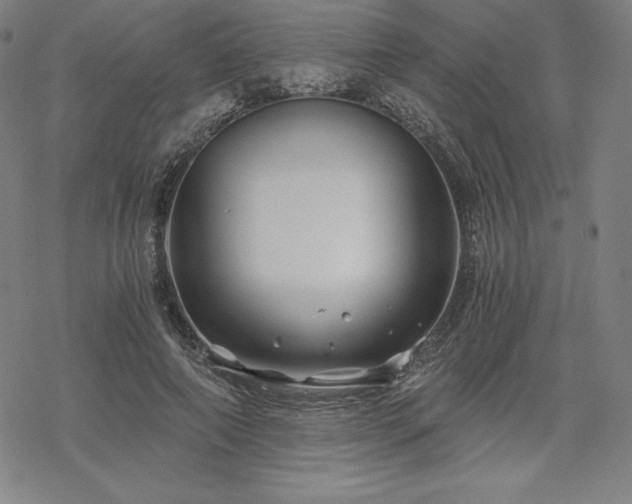 X0000068810690200605051145