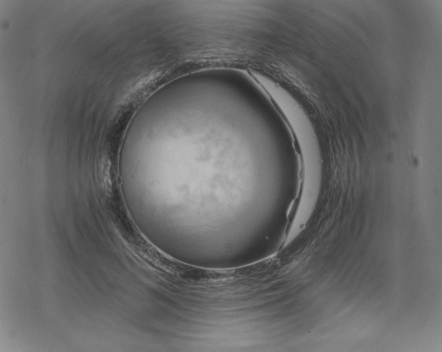 X0000068810692200605051145