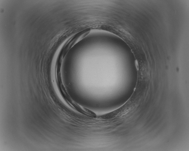 X0000068810693200605051145