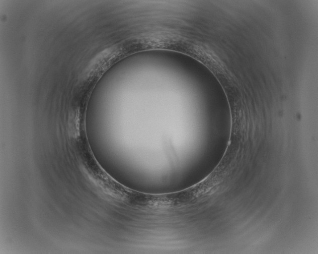 X0000068810694200605051145