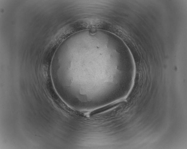 X0000068810695200605051145