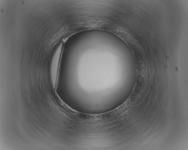 X0000068810696200605051145