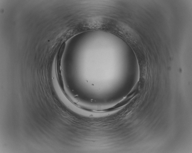 X0000068810697200605051145