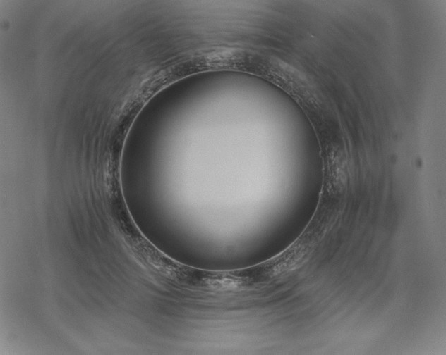 X0000068810698200605051145