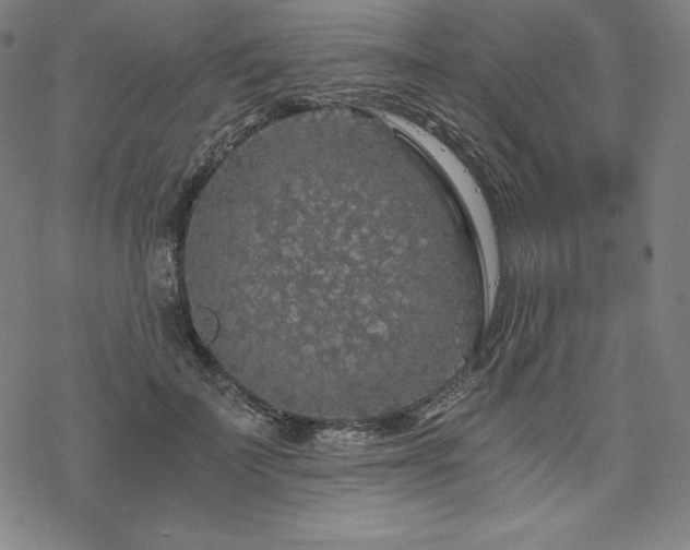 X0000068810699200605051145