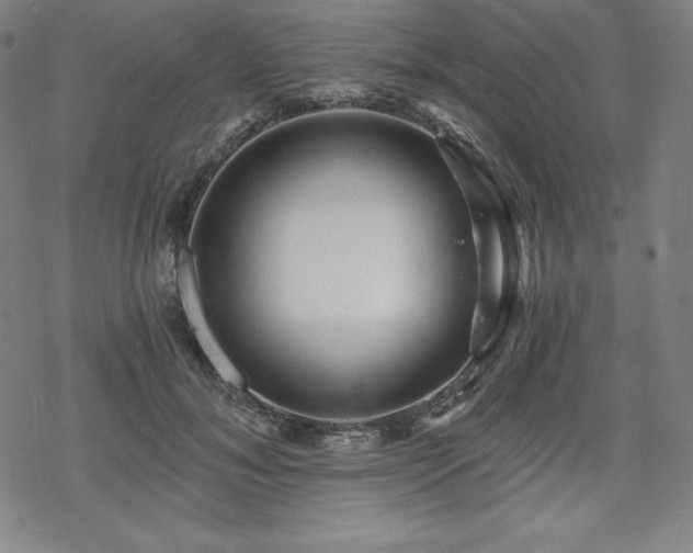 X0000068810700200605051145