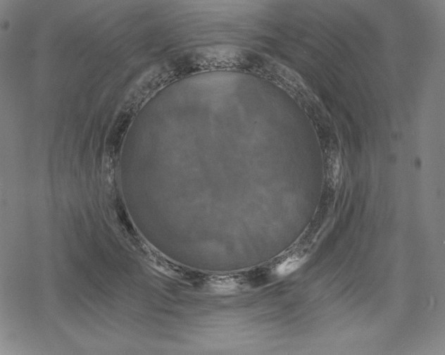 X0000068810701200605051145