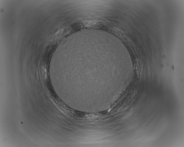 X0000068810703200605051145