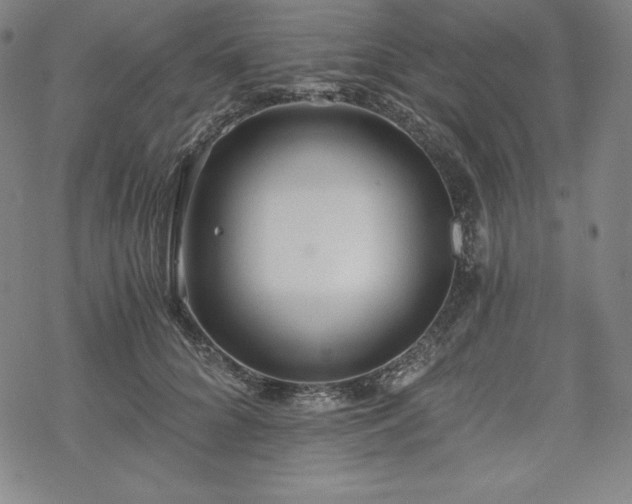 X0000068810704200605051145