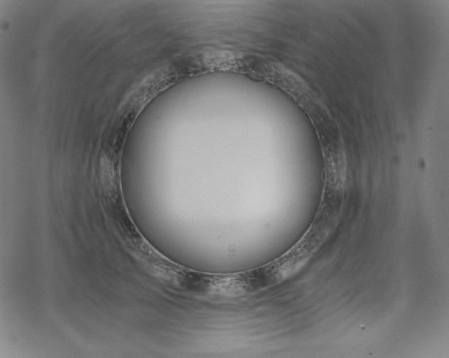 X0000068810705200605051145