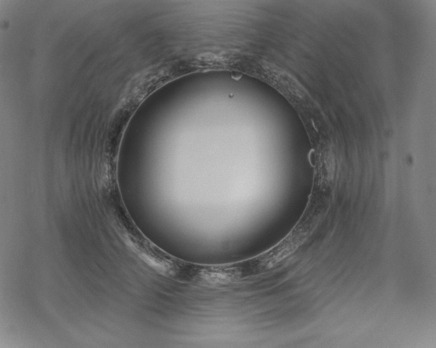 X0000068810706200605051145