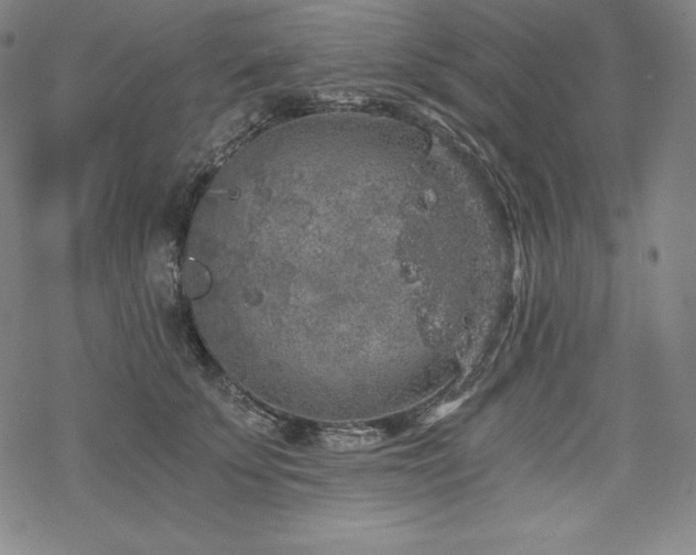 X0000068810707200605051145