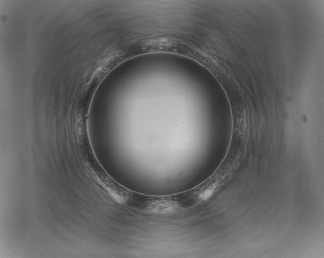 X0000068810708200605051145