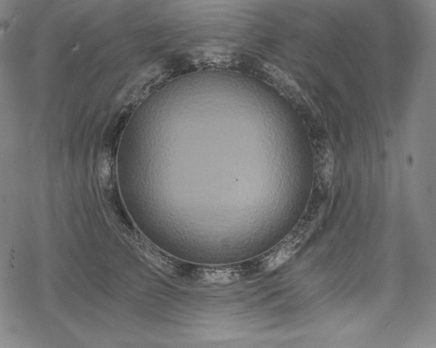 X0000068810709200605051145