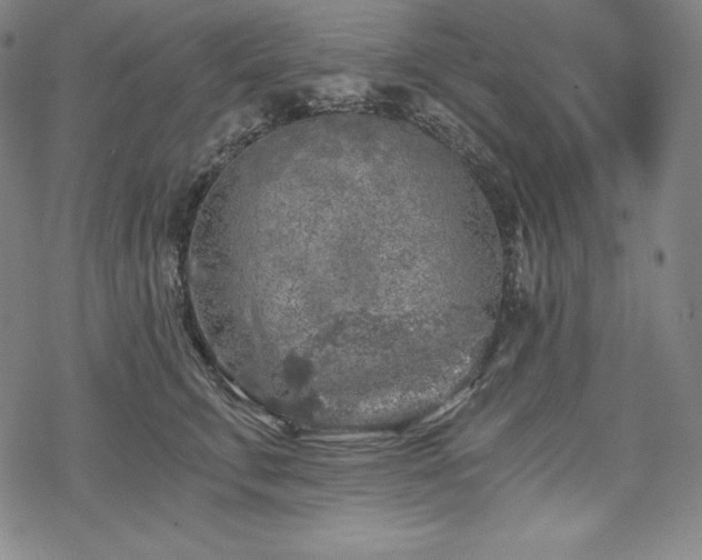 X0000068810711200605051145