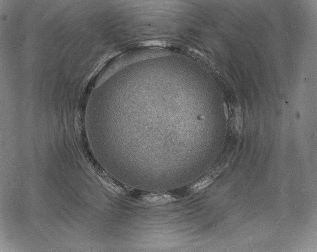 X0000068810712200605051145