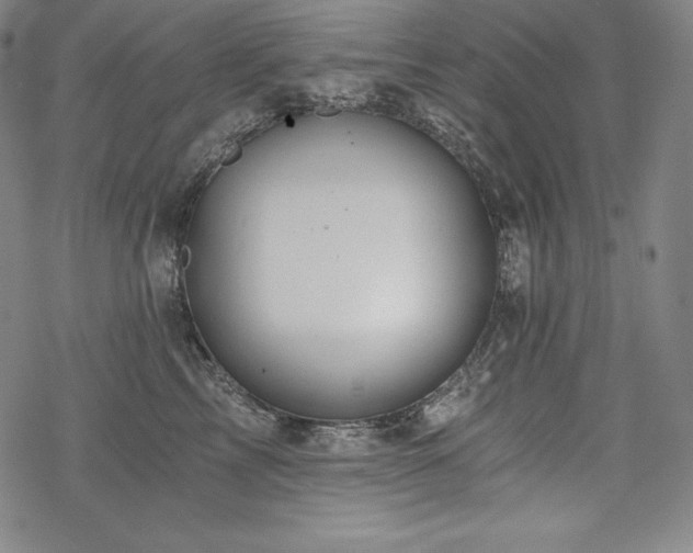 X0000068810713200605051145