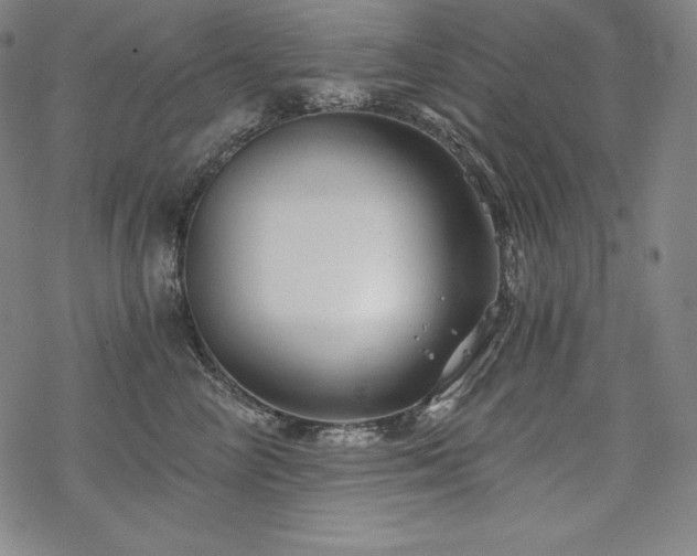 X0000068810714200605051145