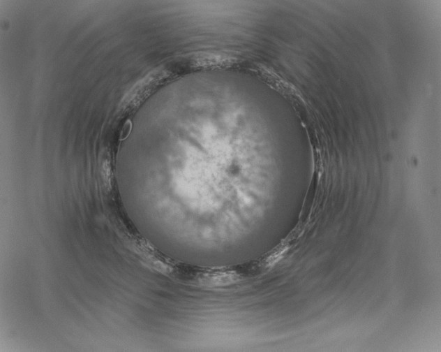 X0000068810716200605051145