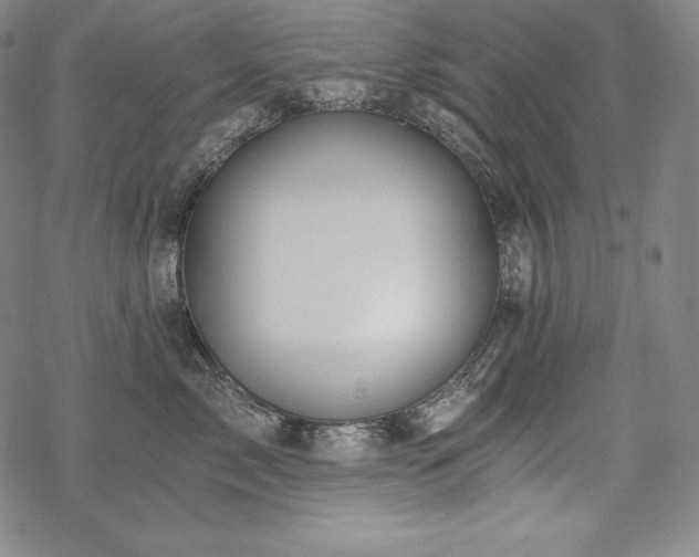 X0000068810717200605051145