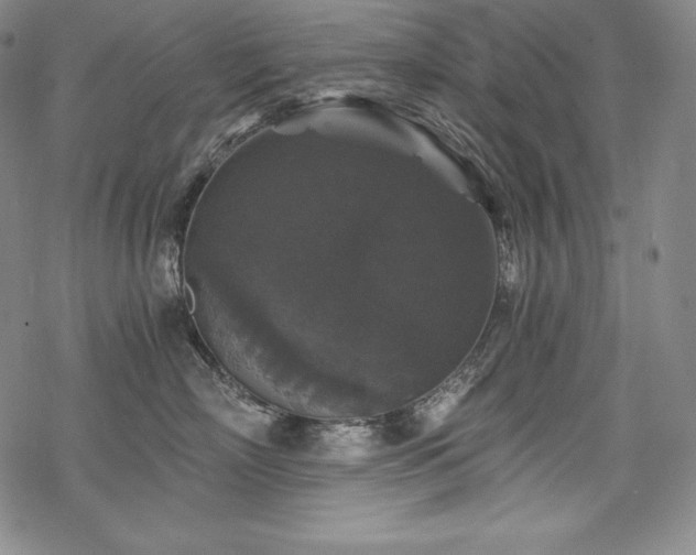 X0000068810718200605051145