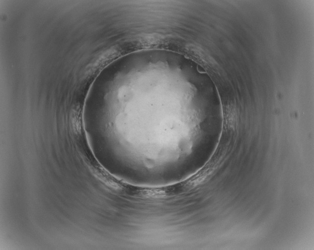 X0000068810719200605051145