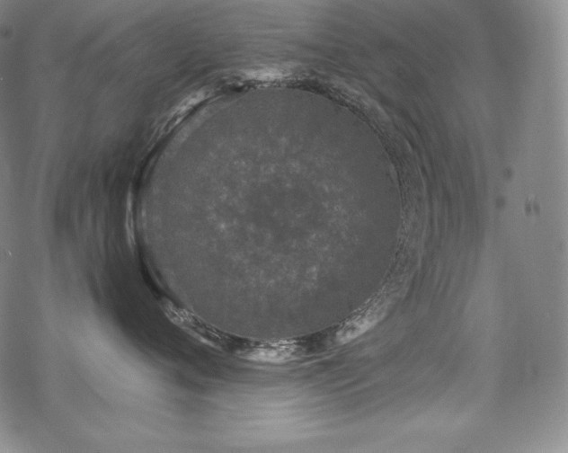 X0000068810720200605051145