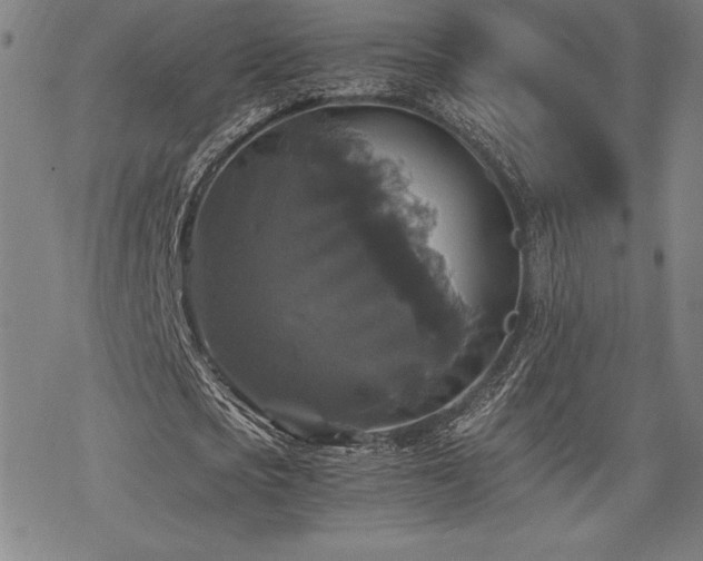 X0000068810721200605051144