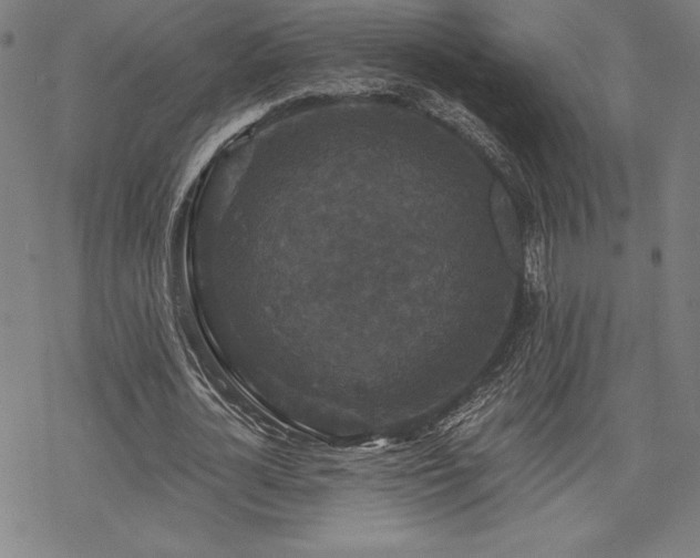 X0000068810724200605051144