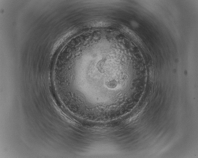 X0000068810725200605051144