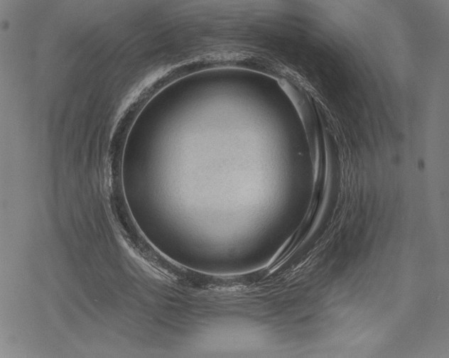 X0000068810726200605051144