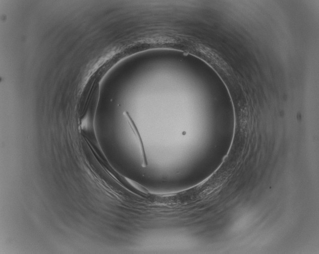 X0000068810727200605051144