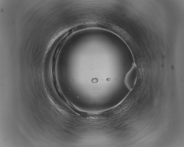 X0000068810728200605051144