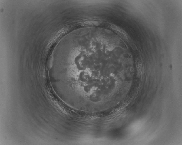 X0000068810729200605051144