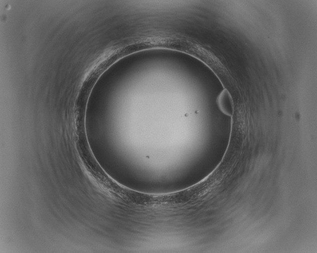 X0000068810730200605051144