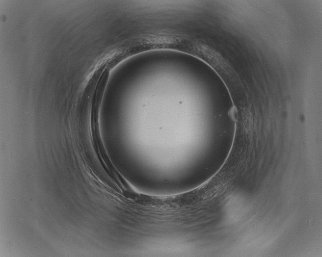 X0000068810731200605051144