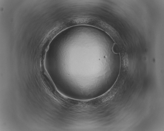 X0000068810733200605051144