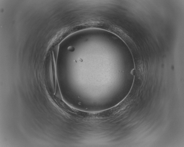 X0000068810734200605051144