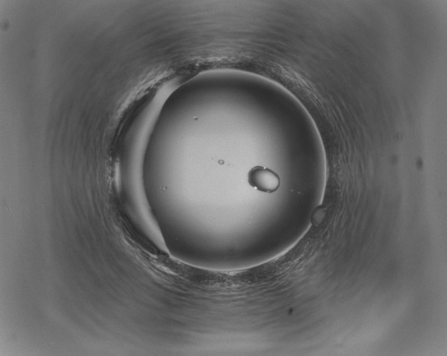 X0000068810735200605051144